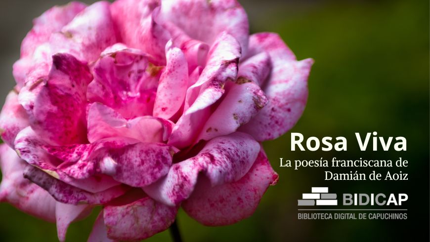Rosa Viva: la poesía franciscana de Damián de Aoiz 